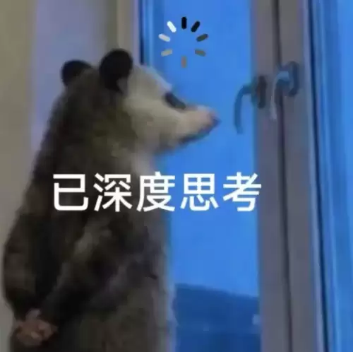 背手负鼠表情包11