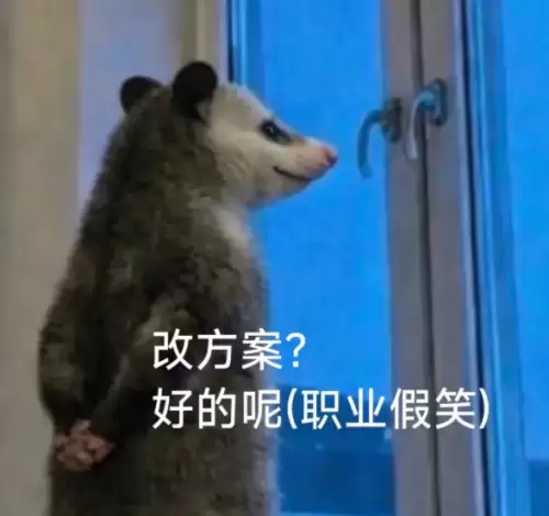 背手负鼠表情包12