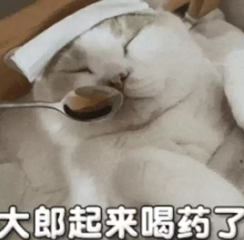大郎该喝药了搞笑图片合集5