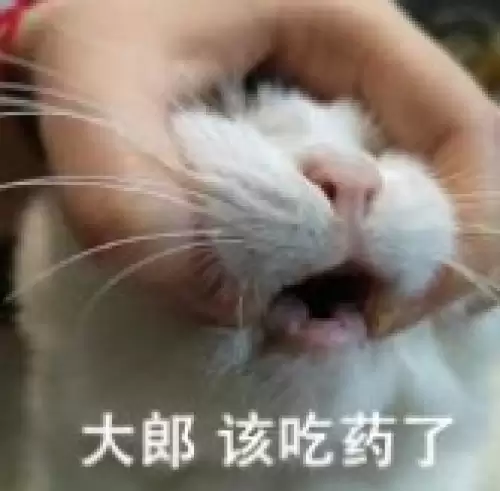 大郎该喝药了搞笑图片合集7