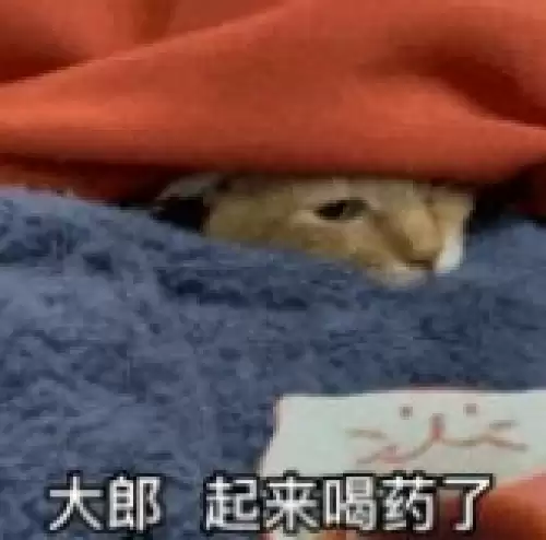 大郎该喝药了搞笑图片合集8