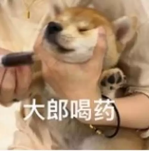 大郎该喝药了搞笑图片合集13