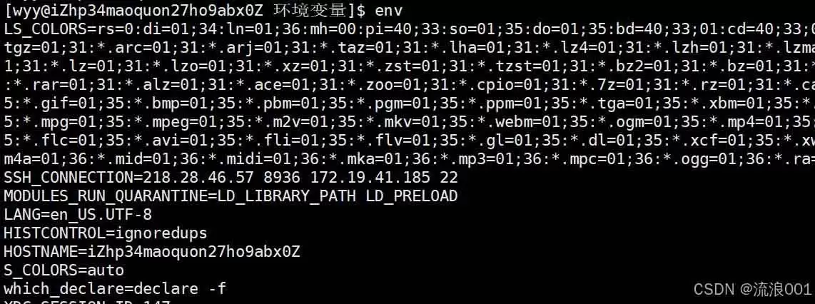 Linux命令行参数&环境变量:程序和系统沟通的底层逻辑分析