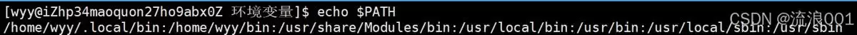 Linux命令行参数&环境变量:程序和系统沟通的底层逻辑分析