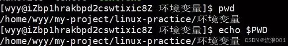 Linux命令行参数&环境变量:程序和系统沟通的底层逻辑分析