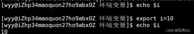 Linux命令行参数&环境变量:程序和系统沟通的底层逻辑分析