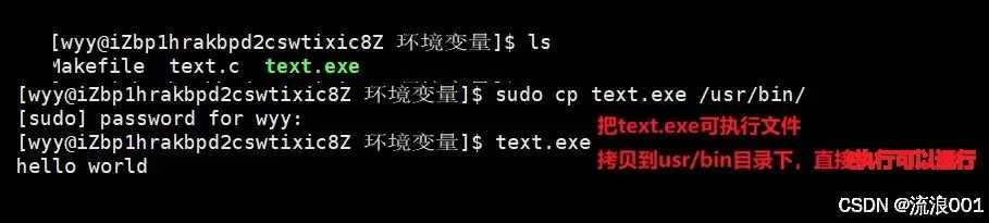 Linux命令行参数&环境变量:程序和系统沟通的底层逻辑分析