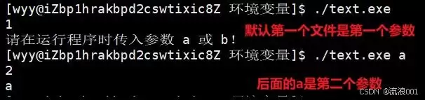 Linux命令行参数&环境变量:程序和系统沟通的底层逻辑分析