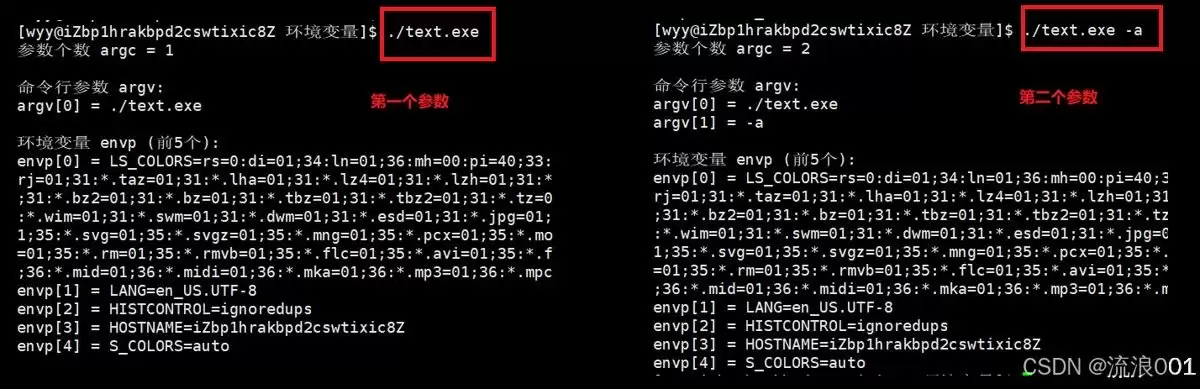 Linux命令行参数&环境变量:程序和系统沟通的底层逻辑分析