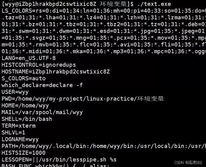 Linux命令行参数&环境变量:程序和系统沟通的底层逻辑分析
