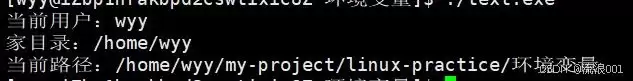 Linux命令行参数&环境变量:程序和系统沟通的底层逻辑分析