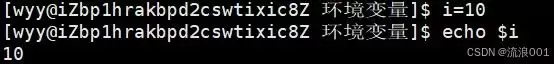 Linux命令行参数&环境变量:程序和系统沟通的底层逻辑分析