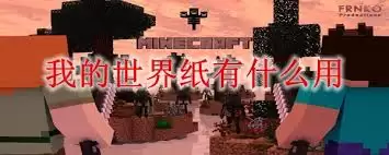 img_6a28f866c717d31.webp