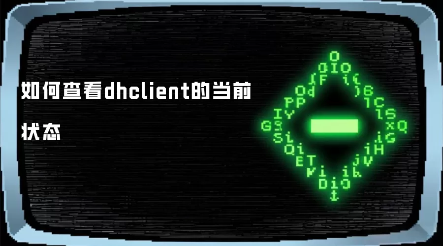 如何查看dhclient的当前状态