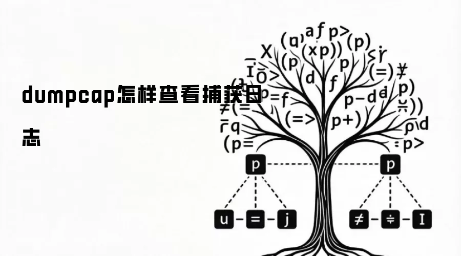 dumpcap怎样查看捕获日志