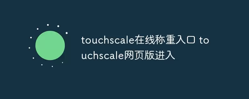 touchscale在线称重入口 touchscale网页版进入