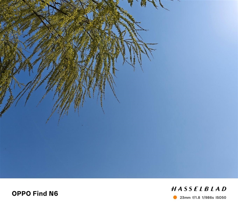 折叠屏再无折痕顾虑!OPPO Find N6手机评测:超平展内屏开创历史 哈苏XPAN模式体验胶卷荣光
