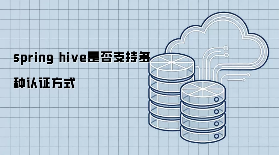 spring hive是否支持多种认证方式