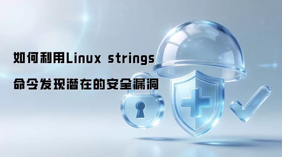 如何利用Linux strings命令发现潜在的安全漏洞
