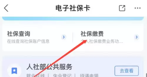 img_6a2b7b0f394e332.webp