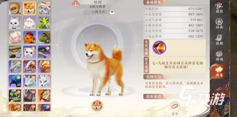 天龙八部2手游许愿树玩法介绍 天龙八部2飞龙战天许愿树玩法分享