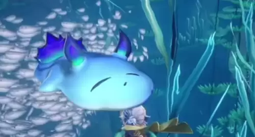海兔 海兔