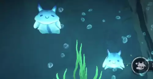 行为 行为