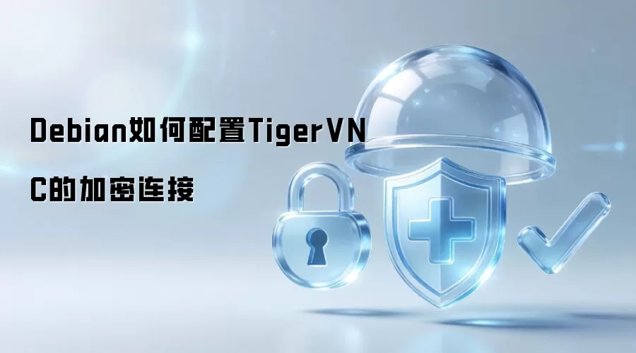 Debian如何配置TigerVNC的加密连接