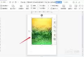 img_6a2ccbe9461bd31.webp
