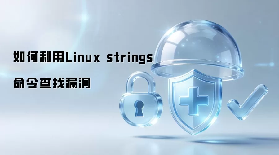 如何利用Linux strings命令查找漏洞