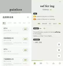 img_6a2e130b7df2130.webp