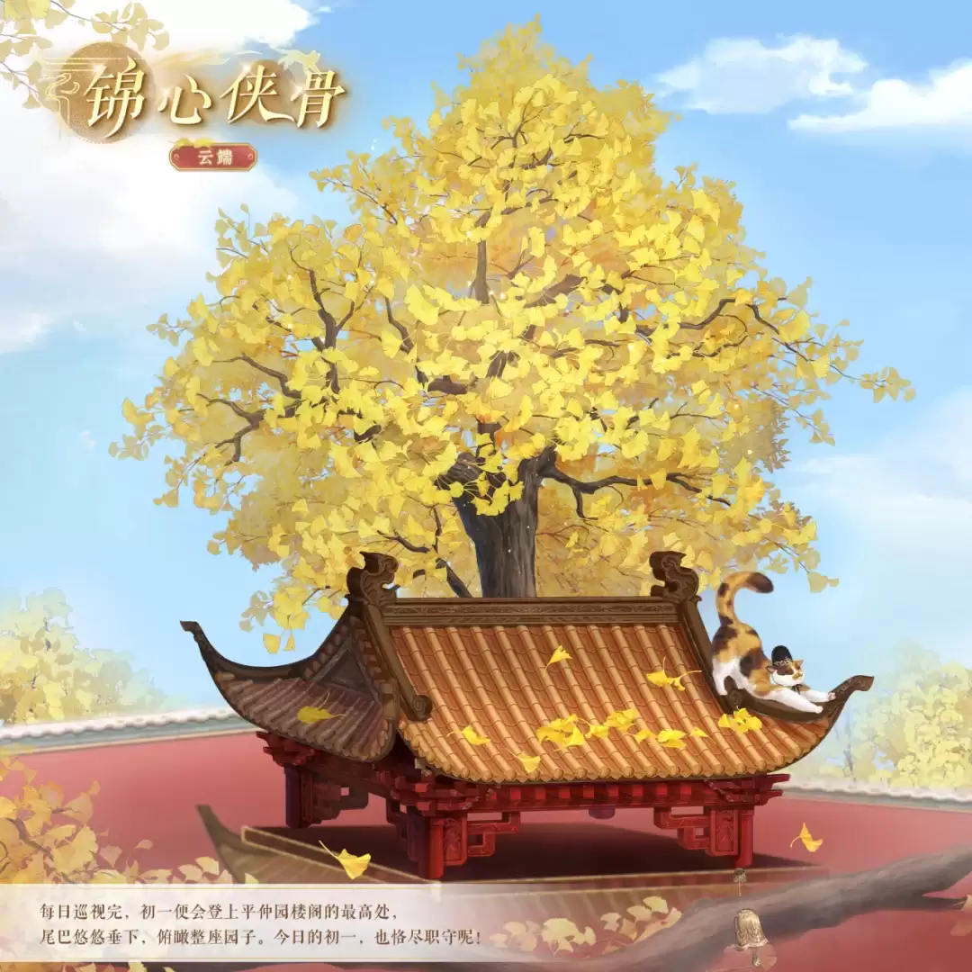 img_6a2e3d319462231.webp