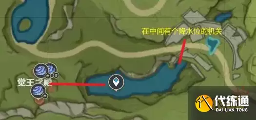 原神树王圣体菇快速采集路线图 树王圣体菇收集位置