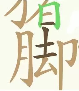 img_6a2f842f4fa7533.webp