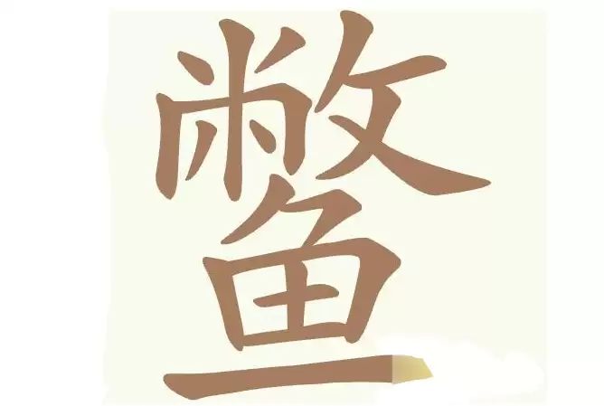 img_6a2f843c428e031.webp