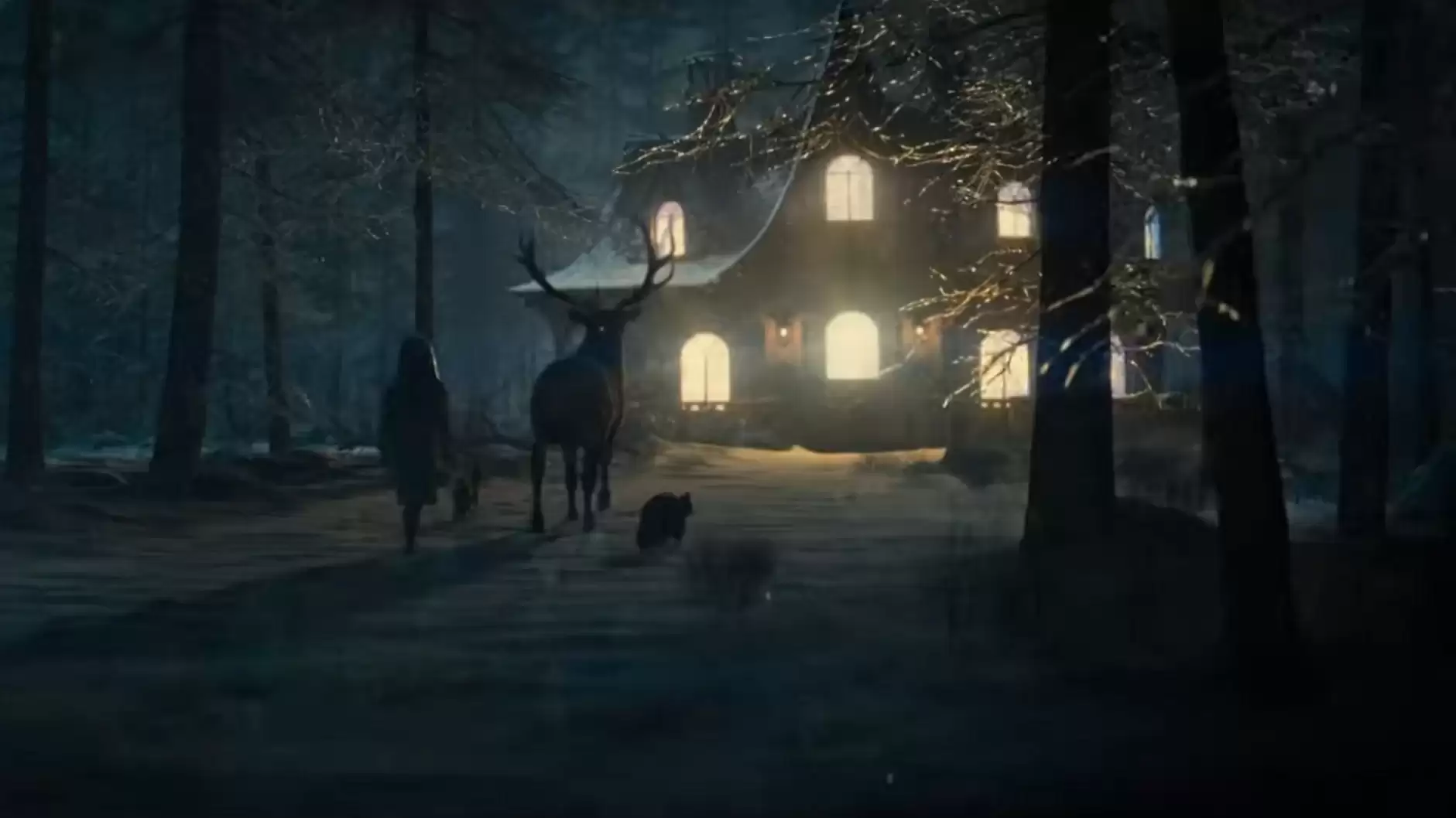 img_6a2f87c25a03131.webp