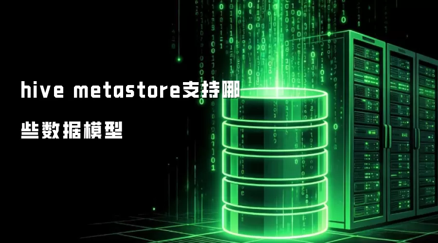 hive metastore支持哪些数据模型