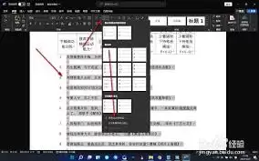 img_6a30c6b4c58ad31.webp