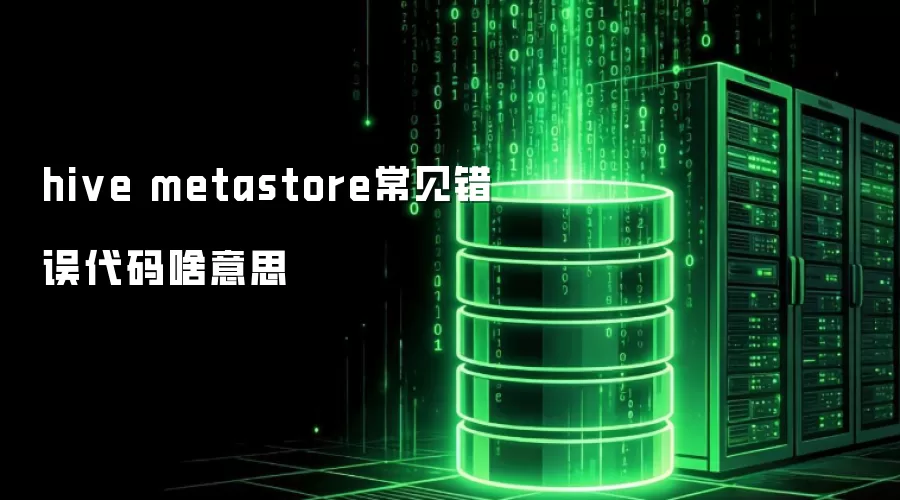 hive metastore常见错误代码啥意思