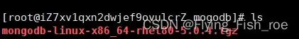 linux中安装mongodb图文教程