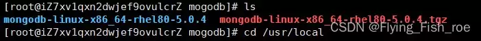 linux中安装mongodb图文教程