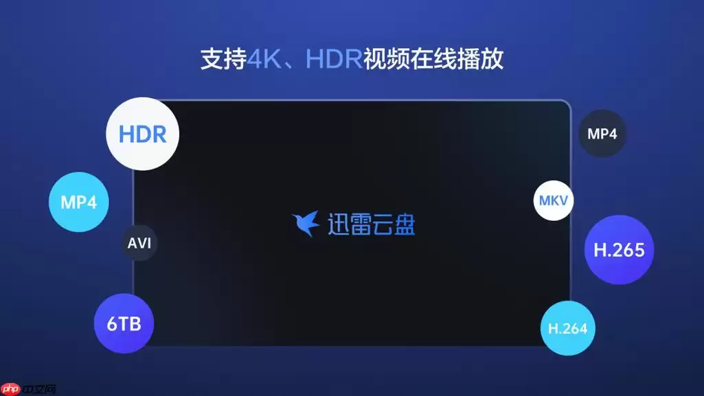 迅雷网盘下载失败怎么办_迅雷网盘下载失败原因与解决措施