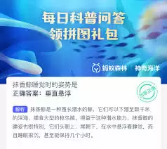 img_6a3241ab6b80731.webp