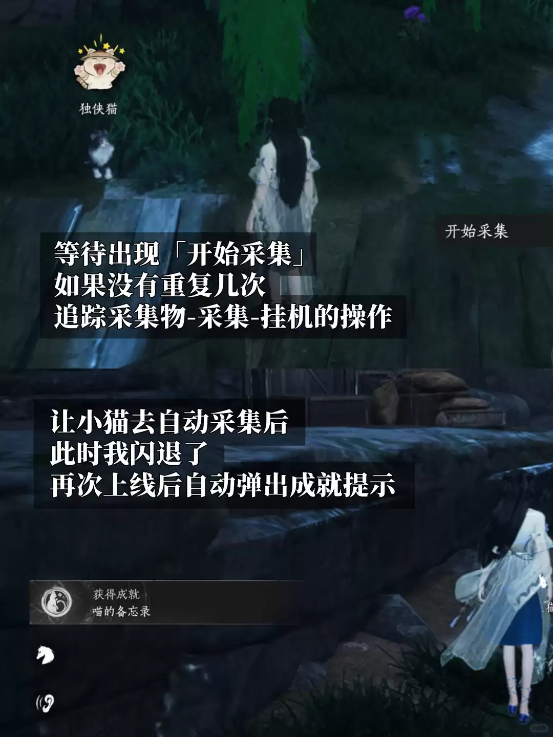 img_6a337b481f20e31.webp