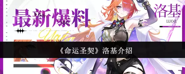 《命运圣契》洛基介绍