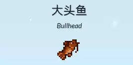 大头鱼 大头鱼