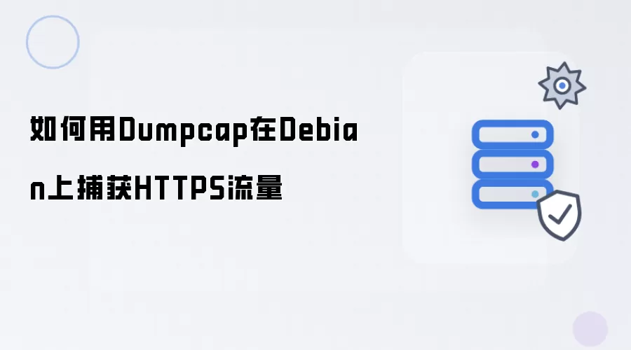 如何用Dumpcap在Debian上捕获HTTPS流量