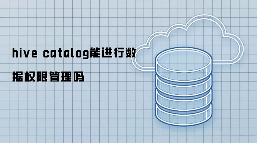 hive catalog能进行数据权限管理吗