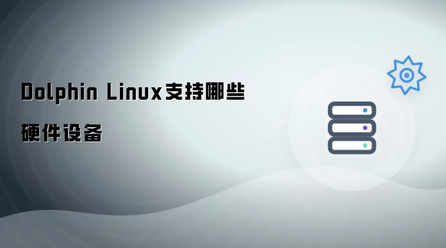 Dolphin Linux支持哪些硬件设备