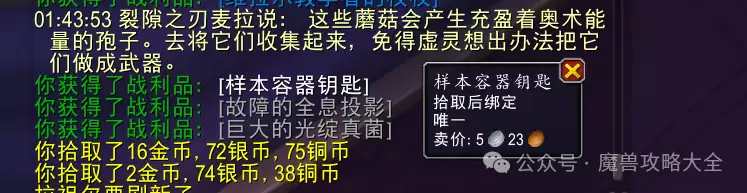 img_6a38be369cfd834.webp